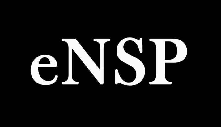 eNSP